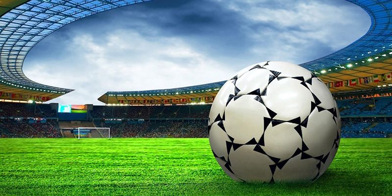 Sân Chơi 8live - Địa Điểm Sở Hữu Kho Game Phong Phú ca-cuoc-the-thao-o-8live